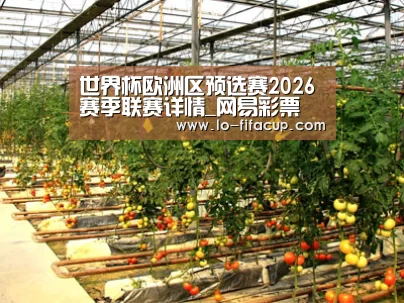 种植基地二